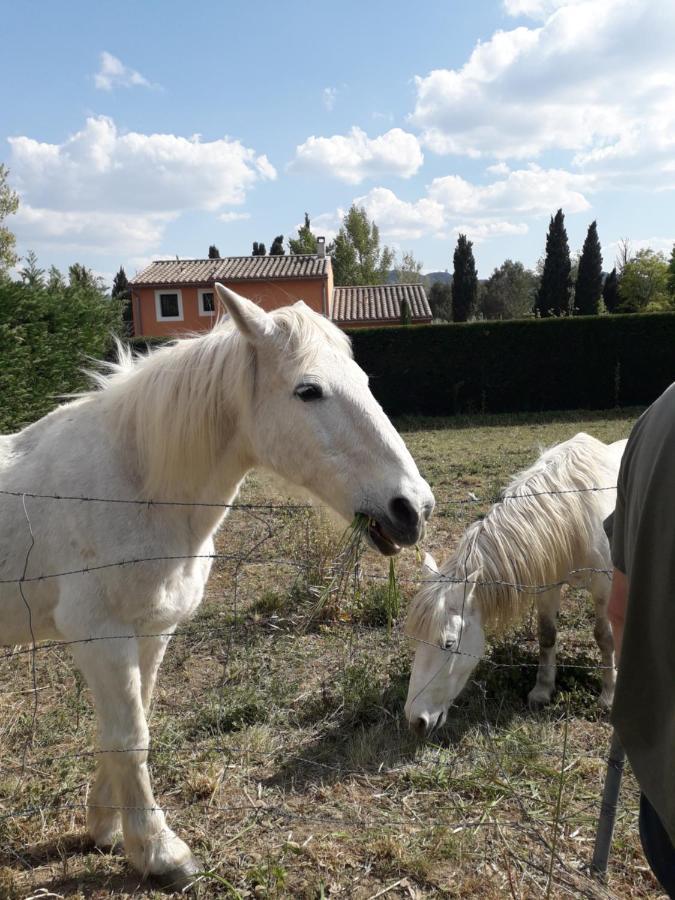 Le Mas Josephine Saint-Rémy-de-Provence Buitenkant foto